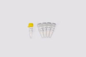 東盛分子診斷原料：一步法逆轉(zhuǎn)錄qPCR 預(yù)混液新品上市！