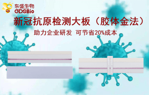 上新了！東盛推出新冠病毒抗原檢測膠體金大板產(chǎn)品