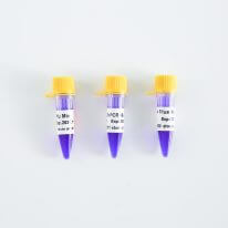 PCR Mix升級丨趁“熱啟動”，體驗升級