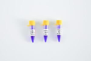 PCR Mix升級丨趁“熱啟動”，體驗升級