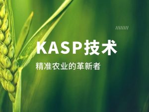 技術(shù)分享丨KASP:精準(zhǔn)農(nóng)業(yè)的革新者