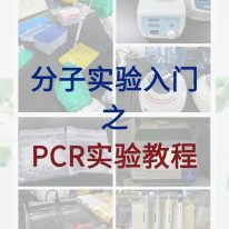 分子小白入門必學(xué)，完整的PCR實驗教程