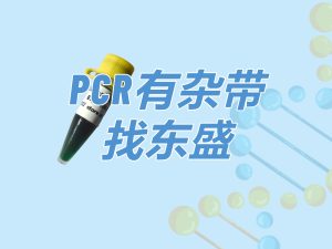 Super TaqMix：高性價(jià)比Hotstart PCR Mix