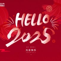 辭舊迎新，共啟2025年新征程