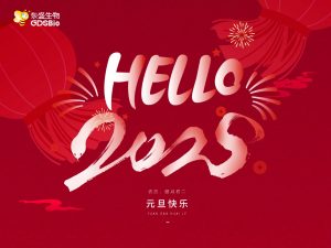 辭舊迎新，共啟2025年新征程