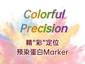 精 “彩” 定位:蛋白 Marker 助力蛋白質(zhì)研究