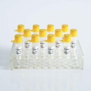 Power Green qPCR Mix (High ROX+) P2101b/P2102b/P2103b