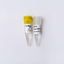 Multiplex Probe qPCR Mix Plus U P2701，P2702，P2703，P2704