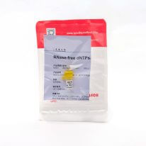 RNase-free dNTPs（R2051） dATP、dTTP、dCTP、dGTP的等摩爾混合物。