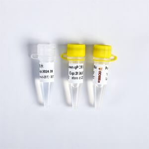 Power Green qPCR Mix (P2101-P2102-P2103-P2104)