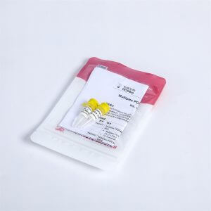 2X Multiplex PCR Master Mix with UDG PM2001，PM2002，PM2003
