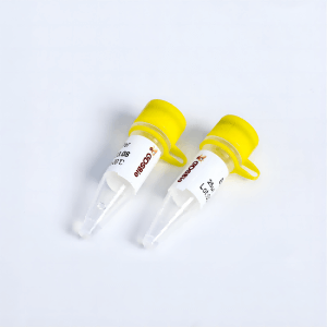 GDSLyo Gold逆轉錄酶 R3001L/R3002L
